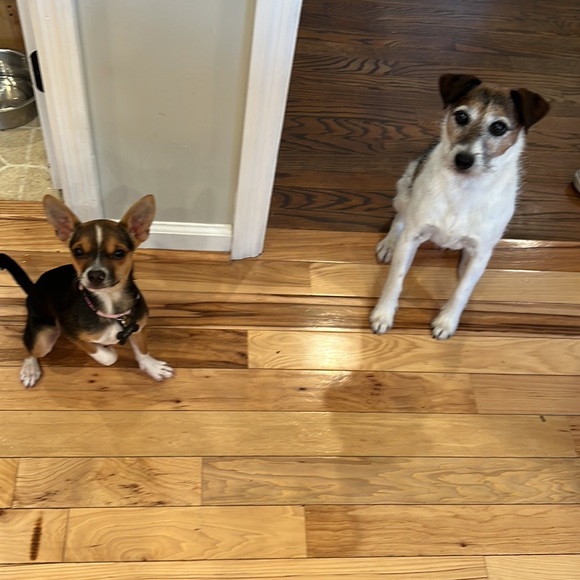 Meet your Posher, Carrie - Picture 3 of 3